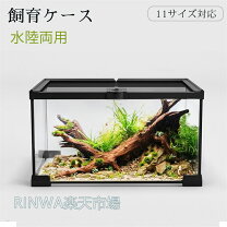 楽天市場】水槽セット（爬虫類・両生類｜ペット・ペットグッズ）の通販