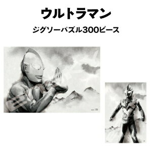 Eg} WO\[pY300s[X nA[g