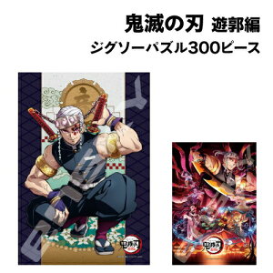 yԌN[|zzzSł̐n Vs WO\[pY300s[X