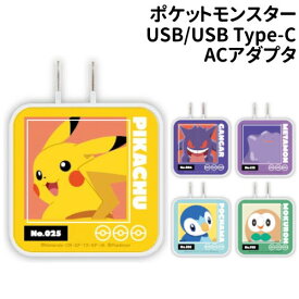 【時間限定クーポン配布中】送料無料 ポケットモンスター USB/USB Type-C ACアダプタ POKE-815 /ピカチュウ ゲンガー メタモン ポッチャマ モクロー/