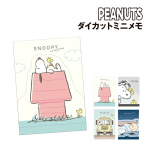 Xk[s[ _CJbg~j SN-554326 /hbOnEX Ђ XN[oX ₷