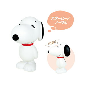 Xk[s[ \troN SN-554276A /Xk[s[^m[} W[EN[