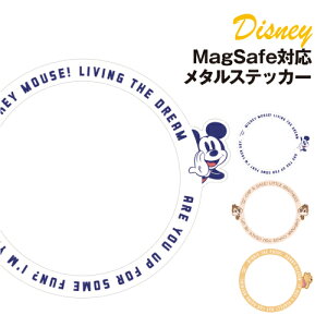 fBYj[LN^[ MagSafeΉ^XebJ[ Ђ^Cv DNG-174 / ~bL[}EX `bvf[ ܂̃v[