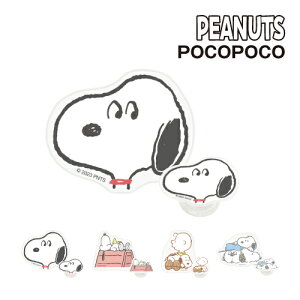 yԌN[|zzz s[ibc _CJbgNA POCOPOCO SNGG-45 /Xk[s[ hbOnEX `[[EuE 傤