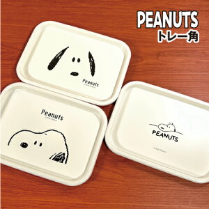 s[ibc/Xk[s[ g[p SPIK-173-5 /tFCX tFCXx[VbN fXN