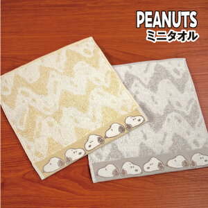 yԌN[|zzzs[ibc/Xk[s[ ~j^I Ԃ 100 SPT-284-5 /CG[ O[