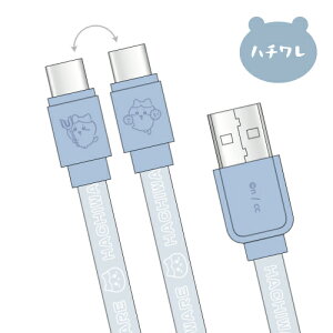  USB Type-C Ή&[dP[u CK-37 /  n` 