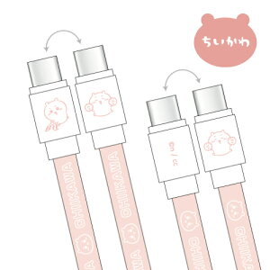 yԌN[|zzz  PD60WΉ USB2.0 Type-CP[u CK-43 /  n` 