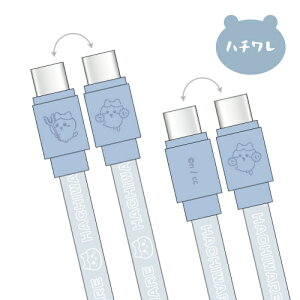 yԌN[|zzz  PD60WΉ USB2.0 Type-CP[u CK-43 /  n` 