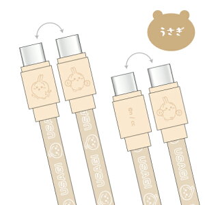 yԌN[|zzz  PD60WΉ USB2.0 Type-CP[u CK-43 /  n` 