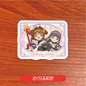 J[hLv^[ Aj25th XebJ[ MCSA-005-12 /  m P T 