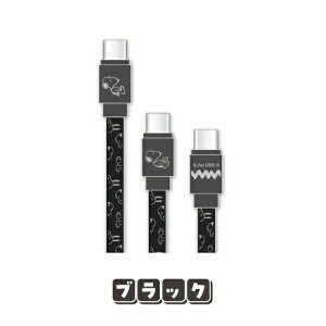 �������� �s�[�i�b�c PD60W�Ή� USB2.0 Type-C�P�[�u�� SNGG-44 / �A�C�{���[ �u���b�N �s���N