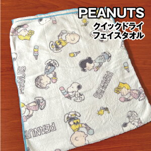 yԌN[|zzzs[ibc/Xk[s[ NCbNhCtFCX^I SPT-298 / ACXN[