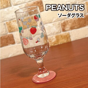 yԌN[|zzzs[ibc/Xk[s[ \[_OX SPIK-250 / Xgx[