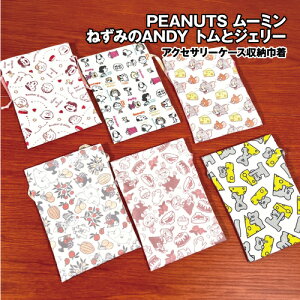 ANZT[P[X[В ACCASK1-6 /s[ibc Xk[s[ [~ ˂݂ANDY gWF[ `FbN ֐} {^jJ g~C