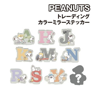 Xk[s[ g[fBOJ[~[XebJ[ SN-5541967 / S10 At@xbg s[ibc uU[Y W[N[ It `[[uE EbhXgbN