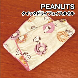 yԌN[|zzzs[ibc/Xk[s[ NCbNhCtFCX^I SPT-501 / h[ic