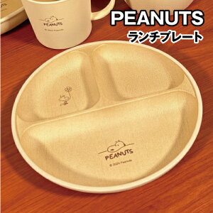 s[ibc/Xk[s[ `v[g^ؖڒH SPIK-223 / fXN