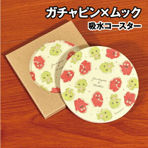 yԌN[|zzzK`s×bN zR[X^[ GMM-006 / K`sEbN NpXe