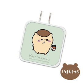 送料無料 ちいかわ USB/USB Type-C ACアダプタ CK-03 /ちいかわ ハチワレ うさぎ SNSで人気 ナガノ めざまし