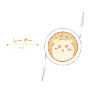   PD60W Ή USB2.0 [ Type-CP[u CK-49 / n`  K bR ܂񂶂イ Ö{ V[T[ ̂