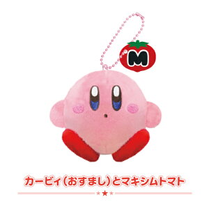 ̃J[rB ʂ[ 8203-087-9 /J[rB(ɂ)ƂނĂLfB[ J[rB(܂)ƃ}LVg}g hfBƐubN ʂ`