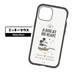  fBYj[ IIIIfit iPhone13mini/12miniΉnCubhP[X DN-872 /~bL[}EX ~j[}EX hih_bN `bvf[ ܂̃v[ GCA