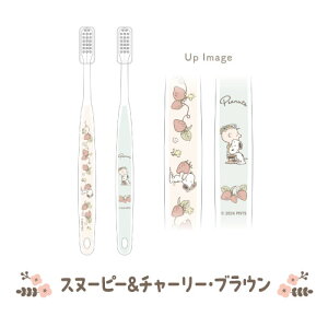 s[ibc/Xk[s[ uVZbg t[V[Y SN-553798 /Xk[s[&傤 Xk[s[&`[[EuE