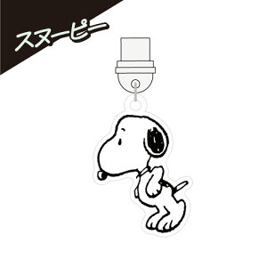 s[ibc USB Type-CΉRlN^`[ SNGG-114 /Xk[s[ ₷