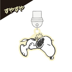 s[ibc USB Type-CΉRlN^`[ SNGG-114 /Xk[s[ ₷