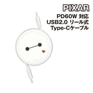 �f�B�Y�j�[�L�����N�^�[ PD60W �Ή� USB2.0 ���[���� Type-C�P�[�u�� DNG-229BX / �x�C�}�b�N�X