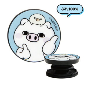 bV[X^v POCOPOCO MYS-16 /100 100 ʂ100 Ԃ100