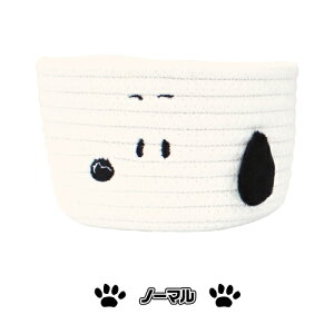 s[ibc/Xk[s[ [voXPbg STCY SN-554523 /m[} ₷