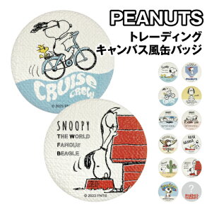 Xk[s[ g[fBOLoXʃobW SN-5542876VP / Be[W|X^[ S12