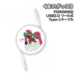 ܂̂ PD60WΉ USB2.0 [ Type-CP[u KG-312A / WbL[