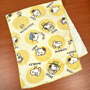 s[ibc/Xk[s[ NCbNhCrbOtFCX^I SPT-523 / T[NuU[