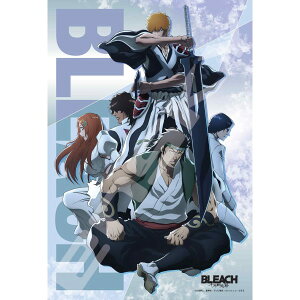 BLEACH ��N����� �W�O�\�[�p�Y��300�s�[�X 300-3162 / BLEACH ��N�����-�����-