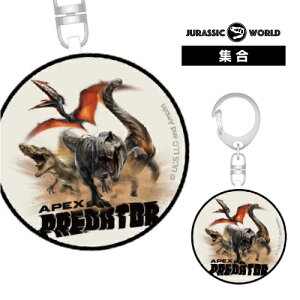  WVbNE[h hƃuU[ JW4-06 / VGbg W