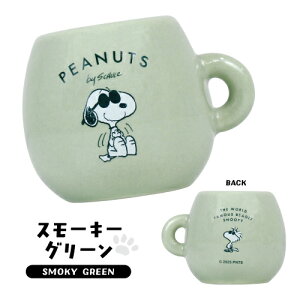 Xk[s[ }O^}`z_[ SN-554528 /zCg X[L[O[