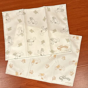 yԌN[|zzzs[ibc/Xk[s[ `}bg^VFtV[Y SPZ-2935-6 /O[ IW