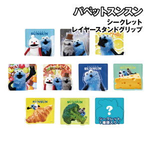 pybgXX V[NbgC[X^hNbv PS-5547553SC / S10