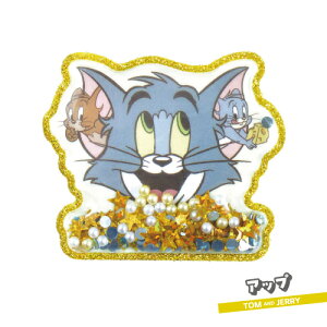 gƃWF[ BIGLLVFCJ[XebJ[ TJ-554397 /Abv n[ `[Y Vgƈ