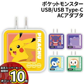 【スーパーセール中ポイントUP】送料無料 ポケットモンスター USB/USB Type-C ACアダプタ POKE-815 /ピカチュウ ゲンガー メタモン ポッチャマ モクロー/