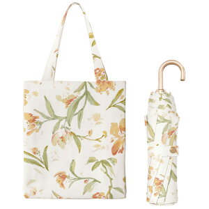 y[܂܂zP ܂肽 fB[X SՌ G ԕ RpNg 8{ J P JP  lC y Jp  JP uvJbg LO v 傫 v[g 