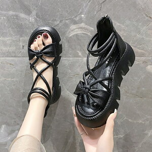 T_  fB[X X|[c T_ OfBG[^[T_ 5.5cmq[ t ₷ r tbg T}[T_ gAbv r obNt@Xi[ C V