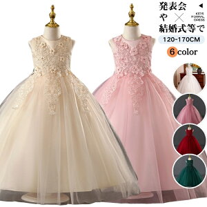 sAm \ w hX LbY 140 a hX   p[eB[hX `[ q t hX 킢 LbY vZX hX ̎q O hX  