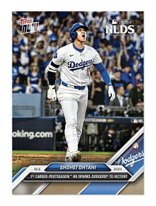 Jĕ@#801@|XgV[Yz[͒l̓_3z[IShohei Ohtani - 2024 MLB Topps NOWR Card 801