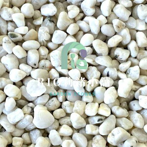 VRʍij2TCYi10`15mmj@20kg܁@ʍ/VR//K[fjO/΁@C݂̎悵^VR̍!!yz