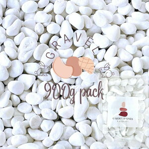 B-SzCg@嗝΁@ʍij900g 3TCYi10`35mmjʍ/ʍ/킢//K[fjO//@IVȒ@Ȓ@K[fjOύ@