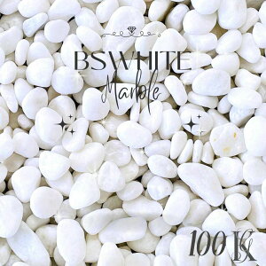 yyVX[p[SALEzySALEΏۏizB-SzCg@嗝΋ʍij3TCYi10`35mmj20kg×5܃Zbg(100kg)@ʍ/ʍ/킢//K[fjO//@IV